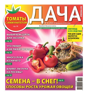 Газета ДАЧА